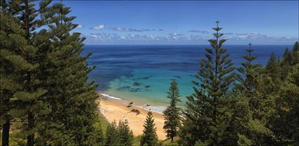 Anson Bay - Norfolk Island - NSW T (PBH4 00 12112)